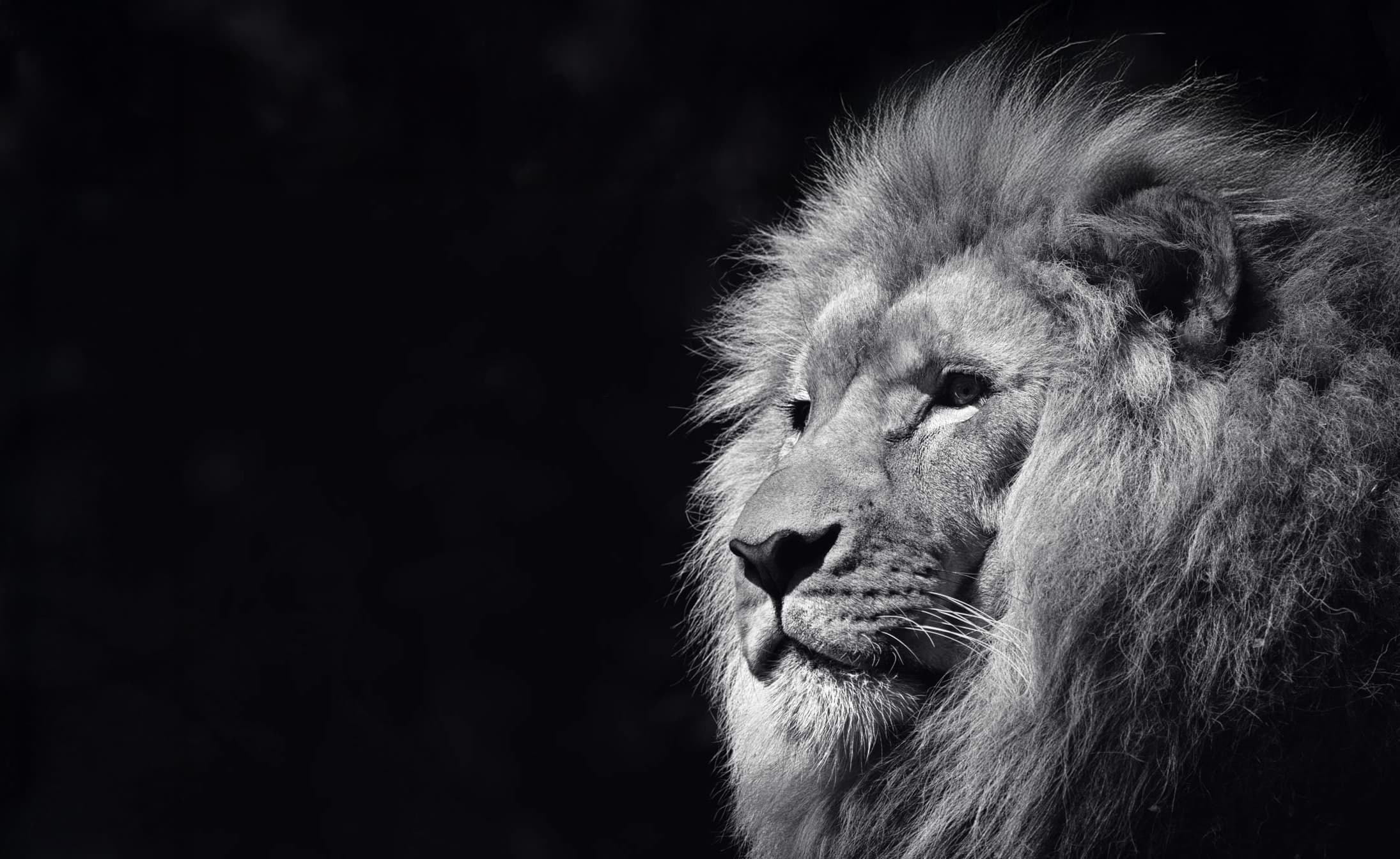 Contacto